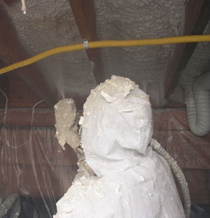  OR crawl space insulation